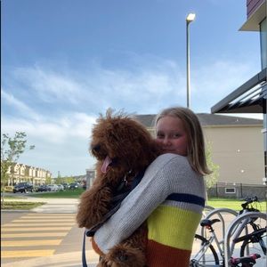 Meet your Posher, Annie